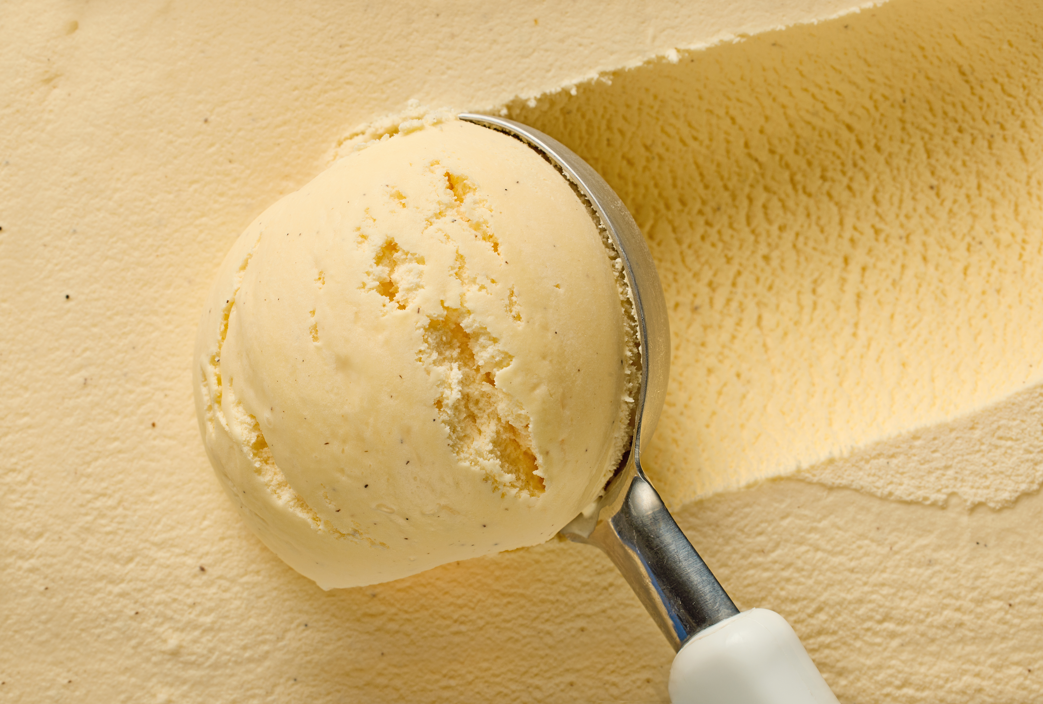 How to Pick the Very Best Vanilla Ice Cream, According to Experts
