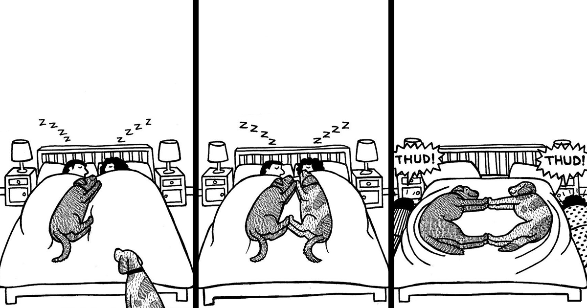 45 Relatable Comics About The Reality Of Owning A Dog From The Series “Off The Leash” | Bored Panda