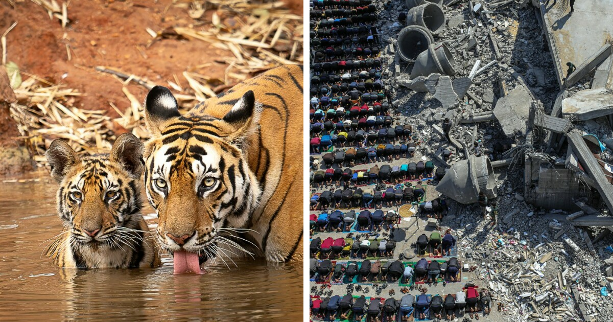 25 Stunning Color Photography Winners From The 1839 Awards