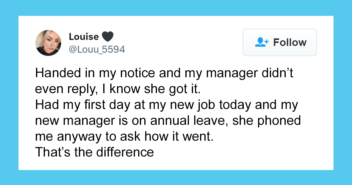 40 Anti-Work Memes From Workipedia To Help You Get Through Another Day