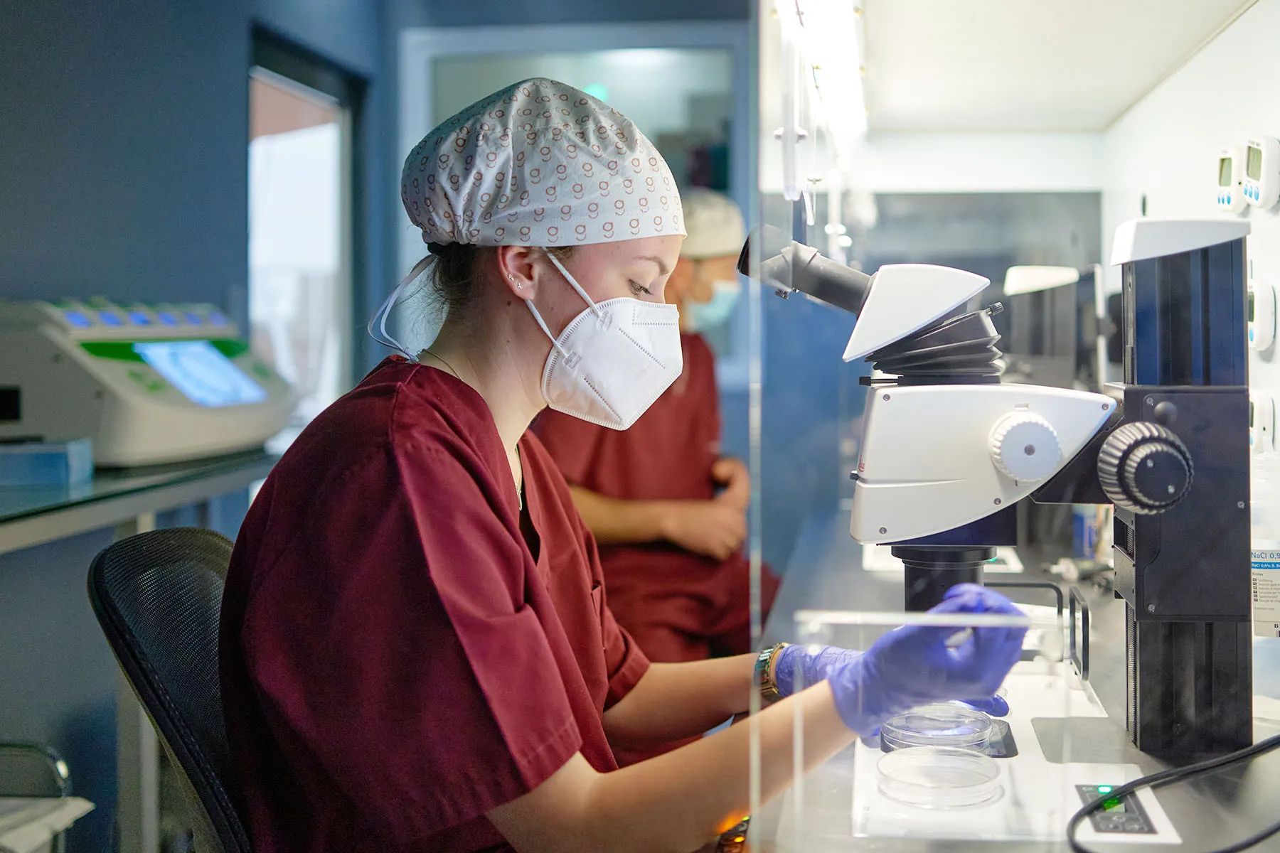 In Vitro Fertilization (IVF) for Infertility: Procedure, Risks, and Success Rate