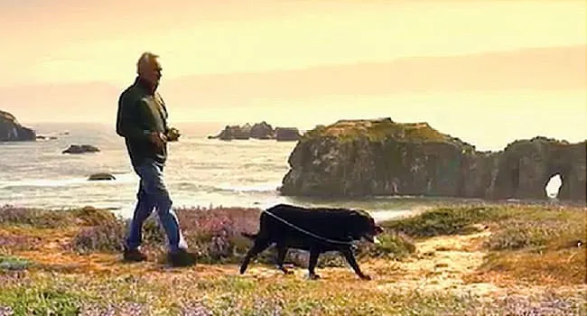 Healthy Habits for B-Cell Lymphoma Treatment