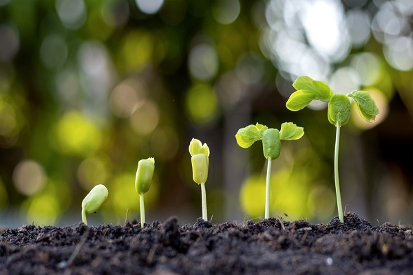 Why the E&S Market Continues to Grow – IA Magazine