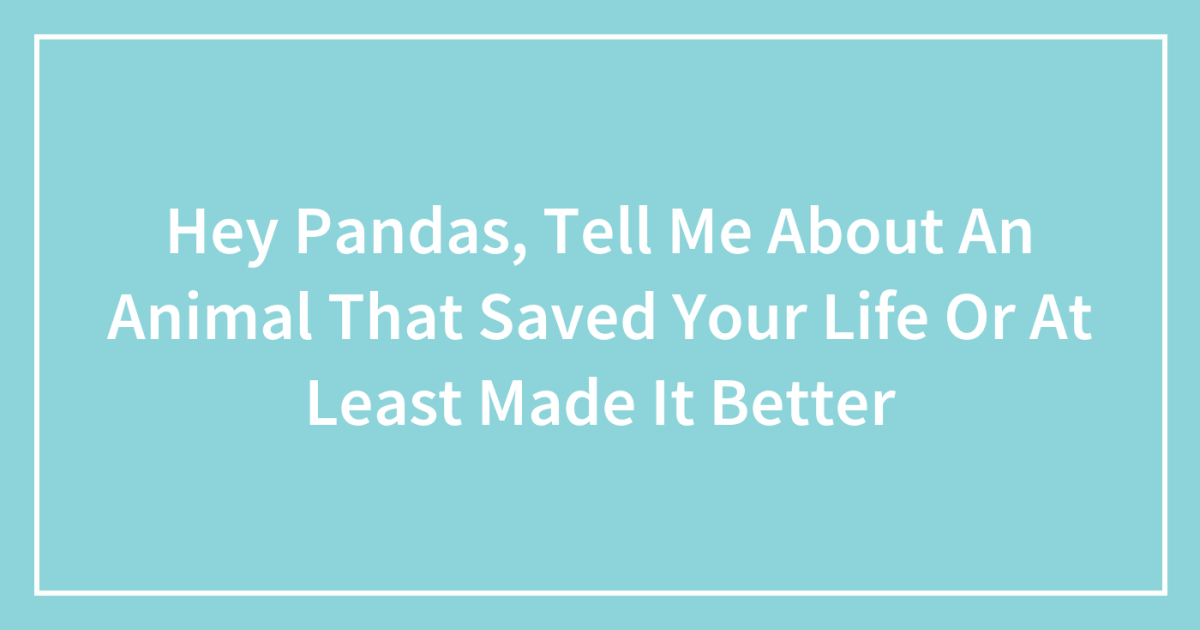 Hey Pandas, Tell Me About An Animal That Saved Your Life Or At Least Made It Better