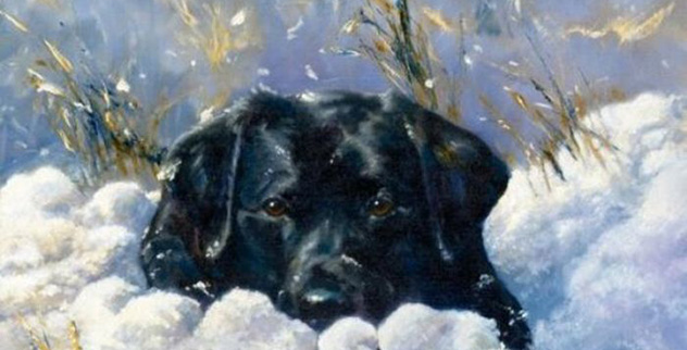 10 Amazing Winter Survival Stories