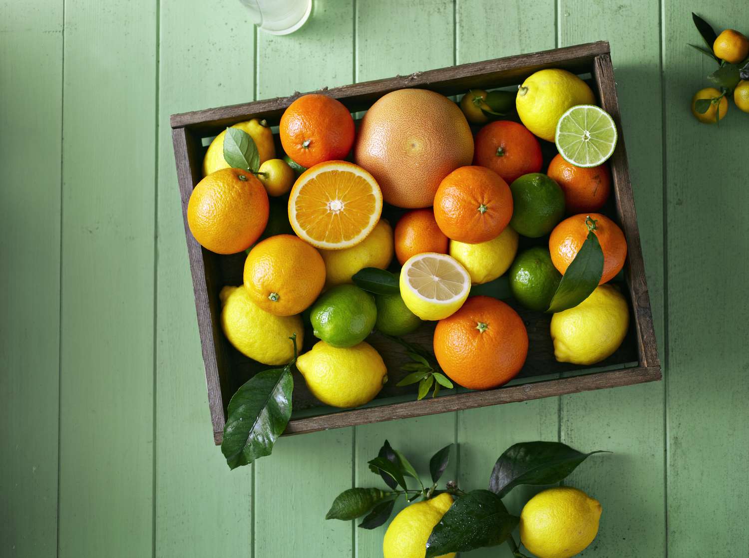Lemon, Lime, and Orange Citrus Cooler Drink Recipe