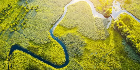 Framework for a Competitive and Sustainable EU Bioeconomy Adopted