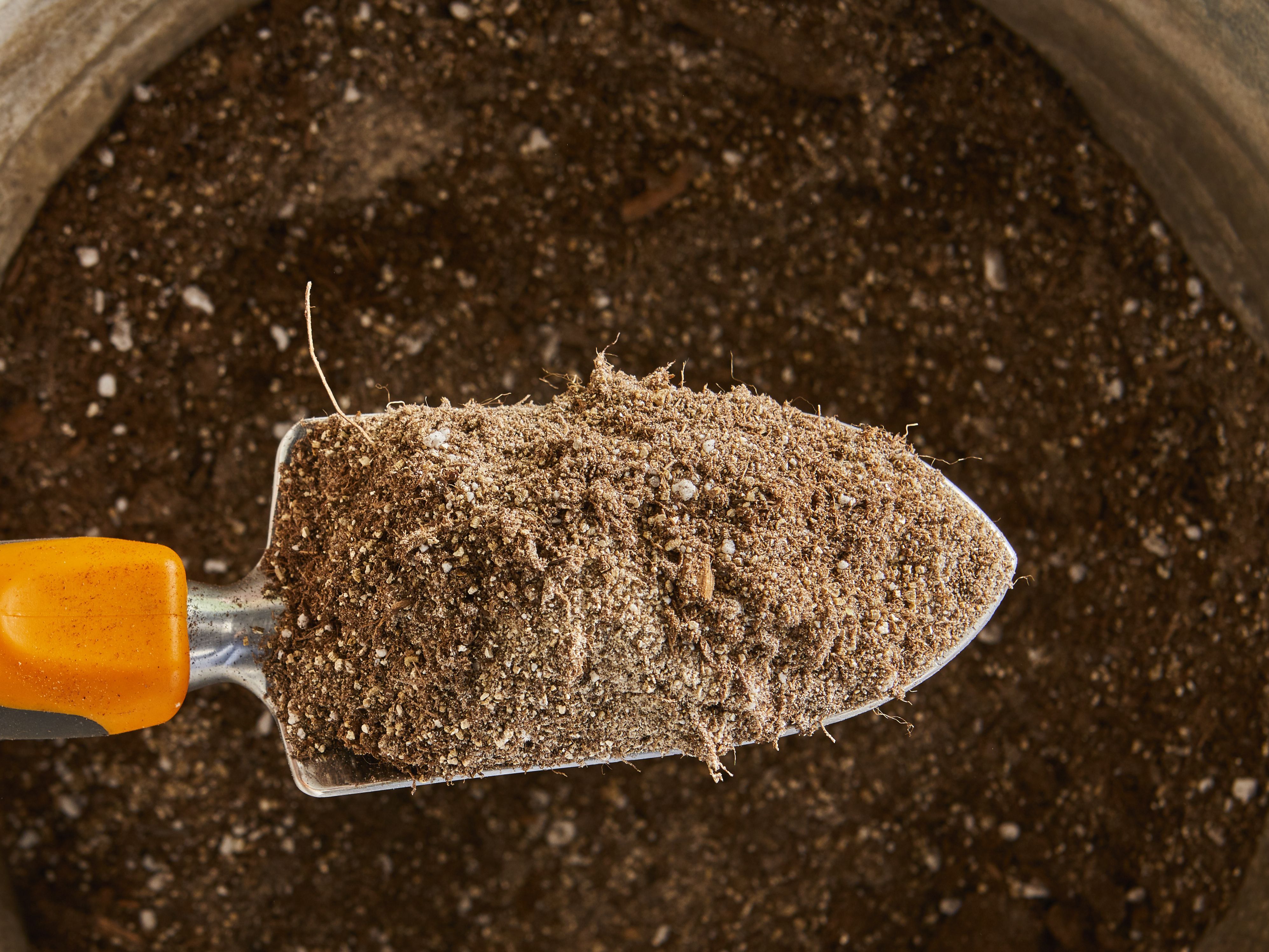 Is It Better to Toss Potting Soil in Fall or Reuse It Next Year?