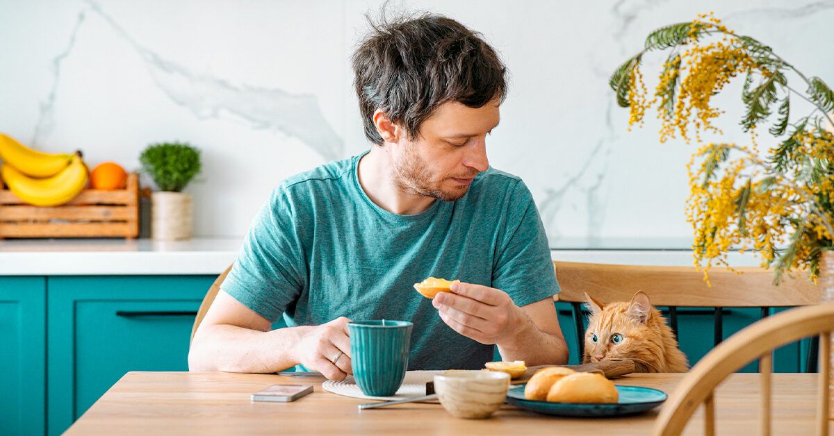 How to Identify and Treat Toxoplasmosis Infection