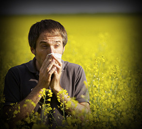 Controlling Your Allergies – Harvard Health