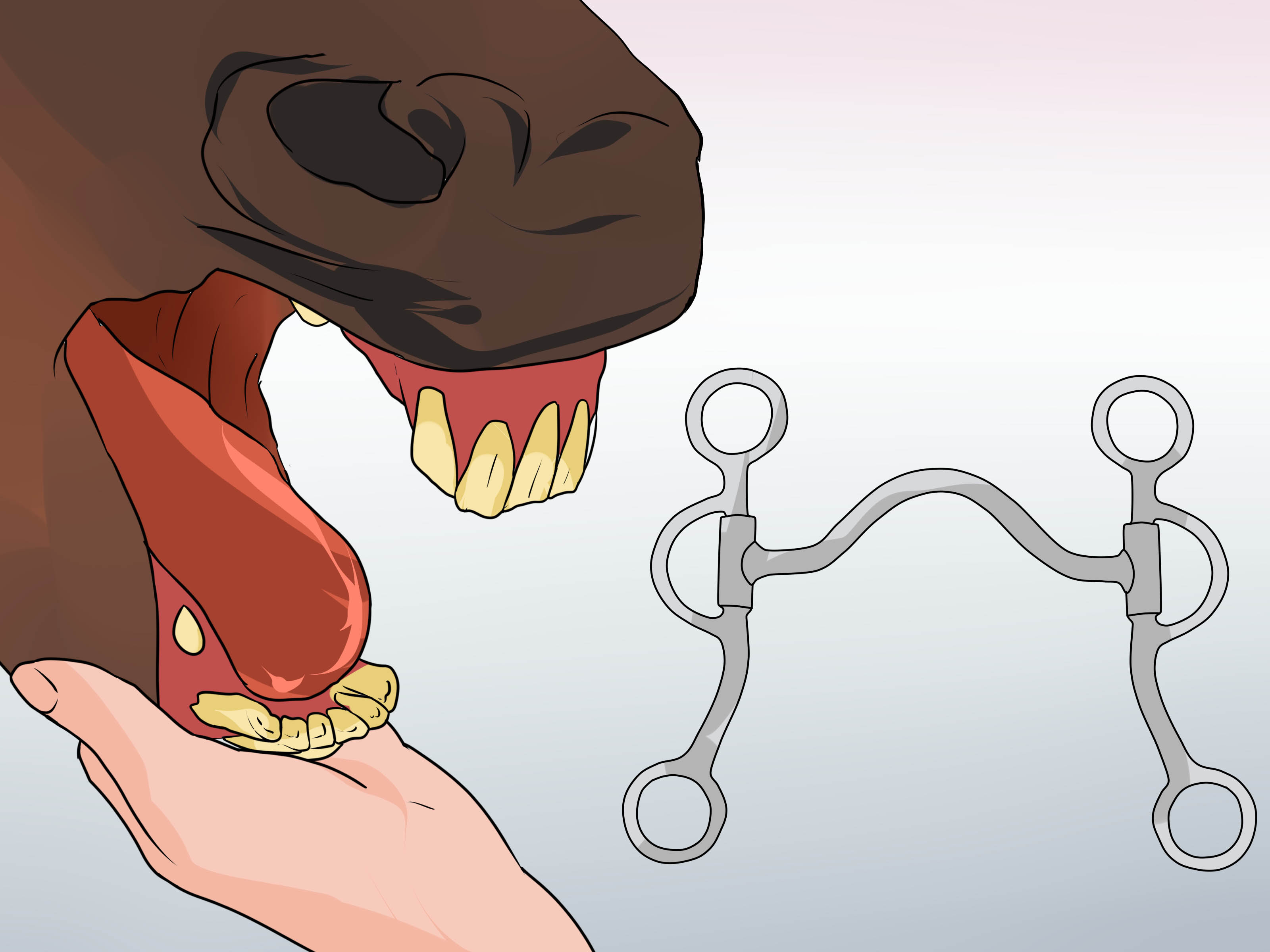 How to Put the Bit in a Horse’s Mouth