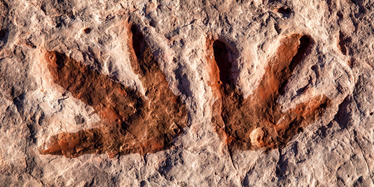 Archaeologists Discovered New Dinosaur Footprintsand Mysterious Symbols Next to Them