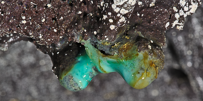 These Hawaiian Microbes Could Have Something In Common With Life on Mars