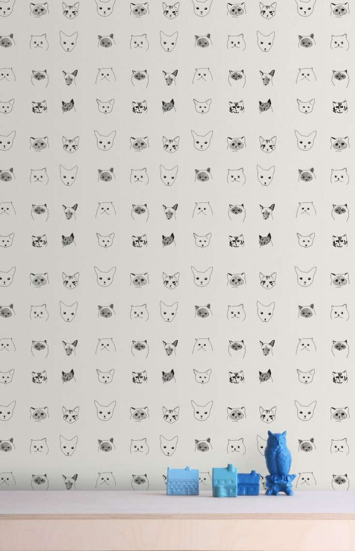 Baines & Fricker Cats Paper