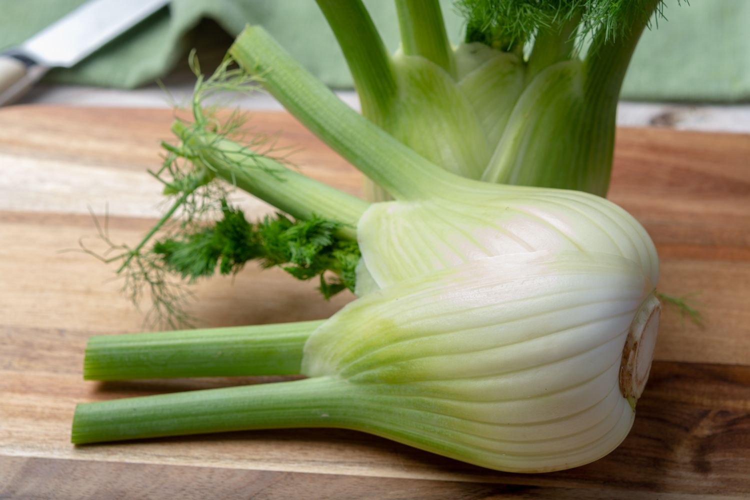 What Is Fenneland How Do You Cook With It?