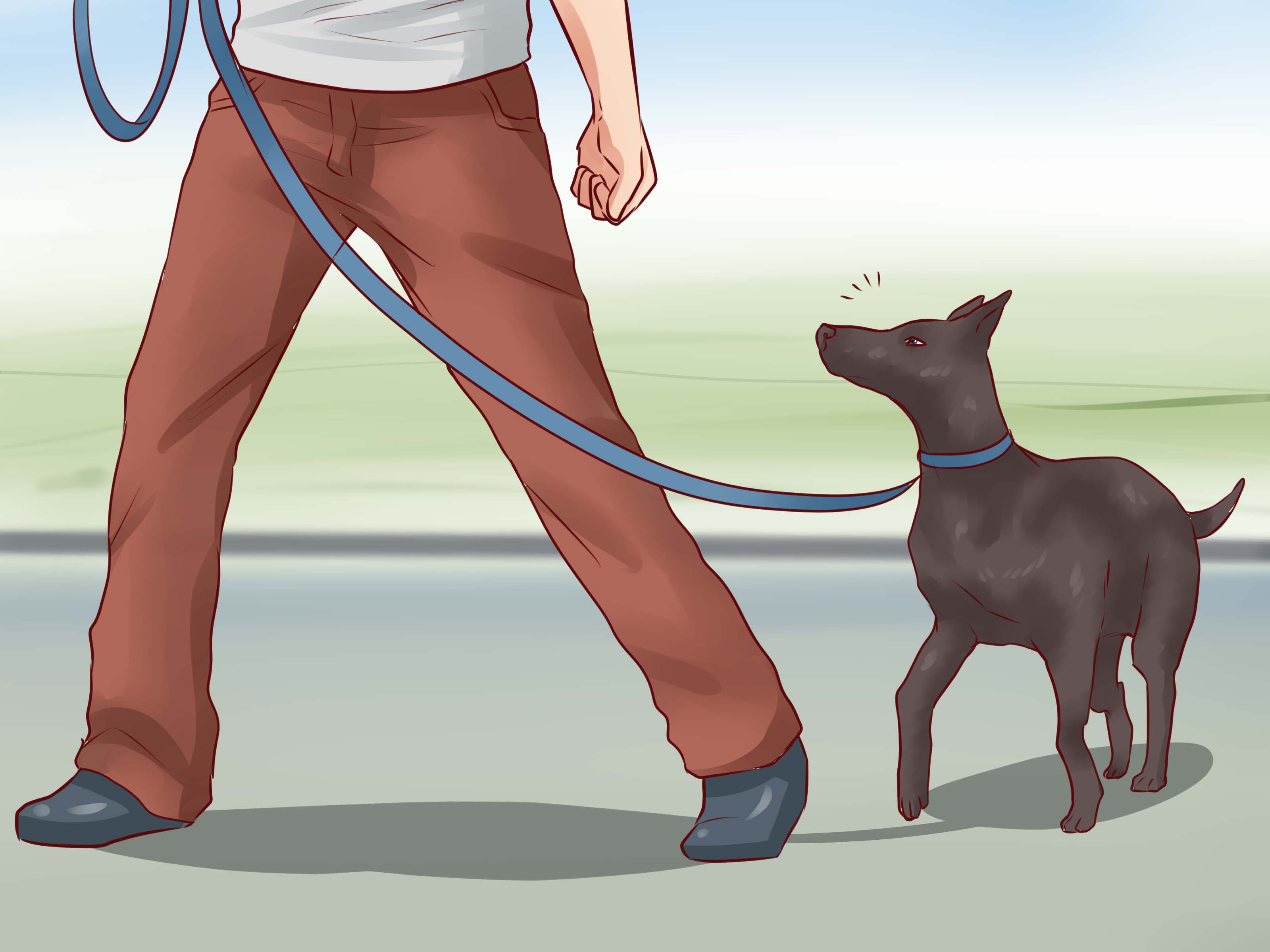 6 Ways to Teach Your Dog Basic Commands