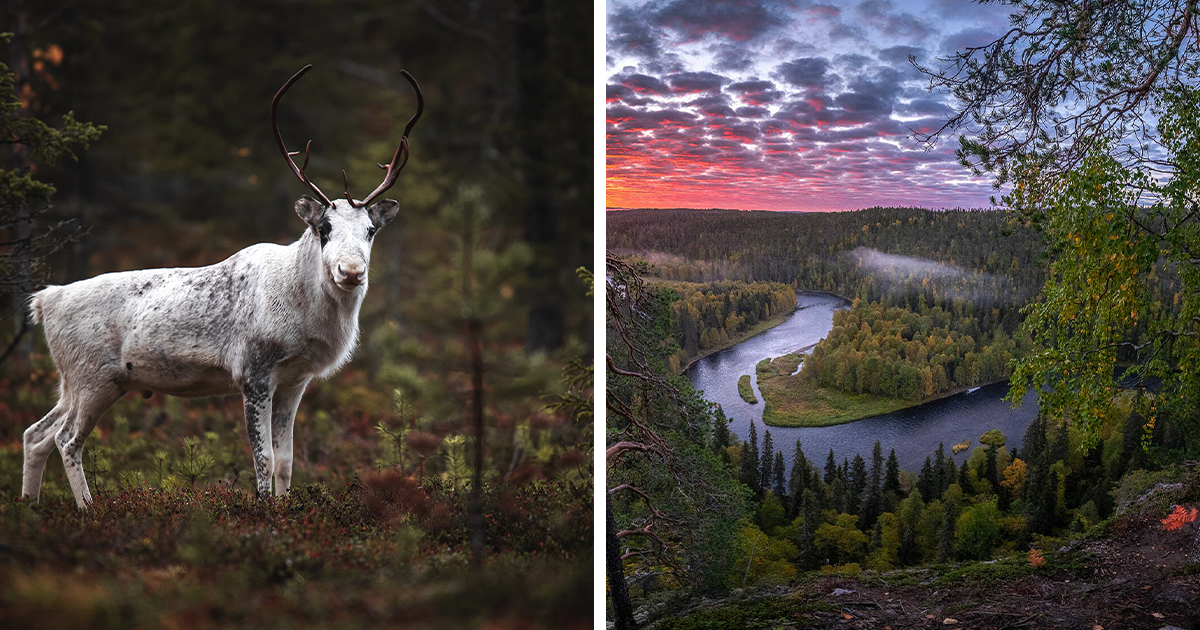I Captured Finland’s Extraordinary Wilderness (23 Pics)
