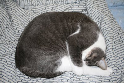 Urgh,.. Sorry,.. Hairball