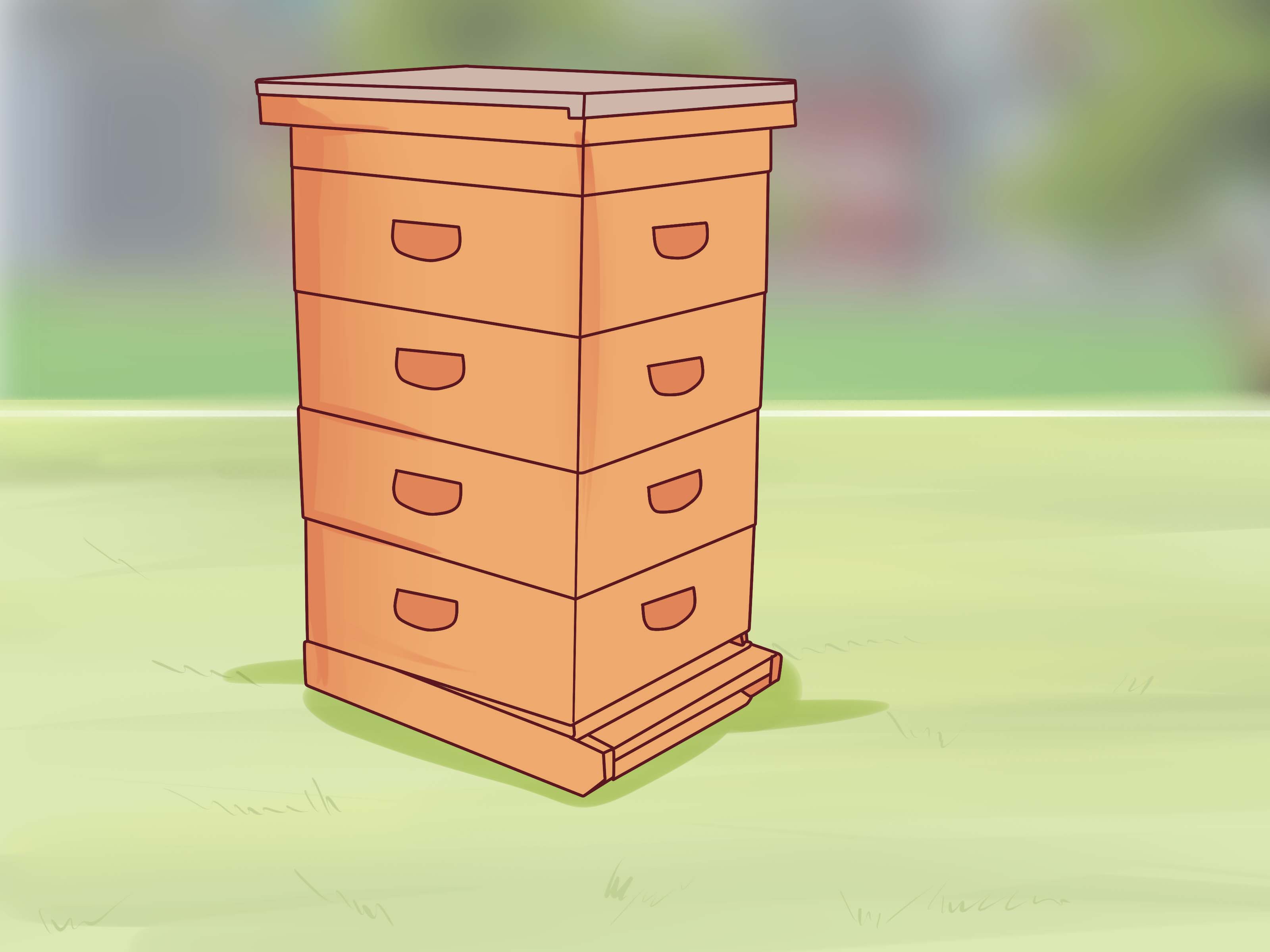 How to Make a Honey Bee Box