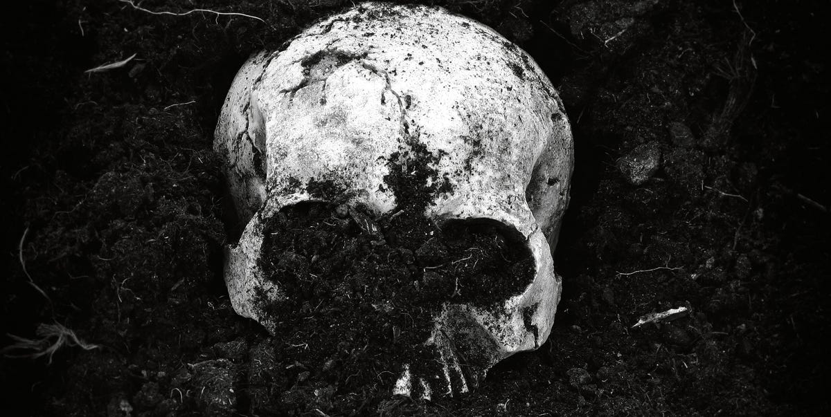 Ancient Swedish Tomb Excavated. The Skulls are Gone.