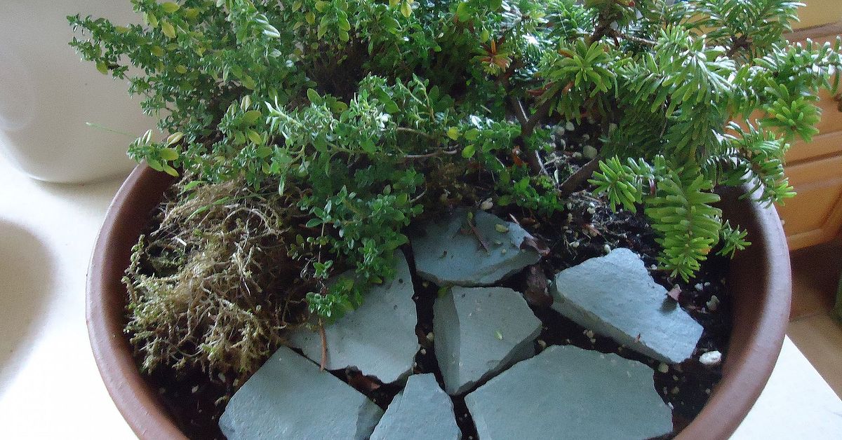 Create a Halloween Miniature Garden